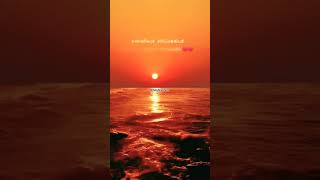 #RasathiEnUsure#EvergreenTamilMusic#TamilsongsShorts#RasathiSong#whatsappstatus