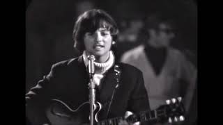The Mindbenders: A Groovy Kind Of Love - 1966 (My "Stereo Studio Sound" Re-Edit)
