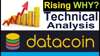 Why is data coin rising to 2x