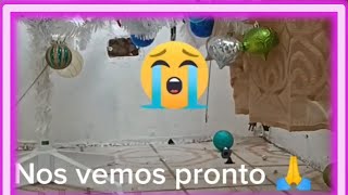 🛑Quitando el árbol de Navidad 🙈en pleno Febrero 🙈#encasadecindy #cindyvlogs1 #4k  #navidad2022