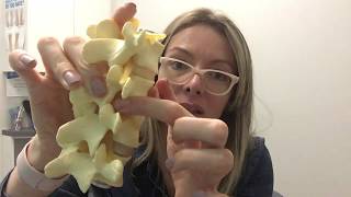 Lumbar spine: info session + extension/flexion movements