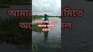 #hindisong #unfrezzmyaccount #song #bollywood #music #banglamoviesong #bangladeshisong #banglapopula