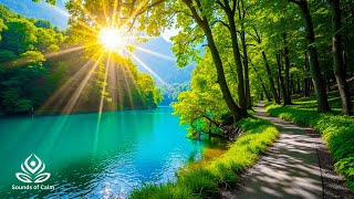 Beautiful Calm Music for Heart Care 💖 Stress Relief & Inner Peace