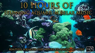 10 Hours of Stunning Aquarium Relax Music, Beautiful Aquarium Fish, Nature Relaxation, HD Video