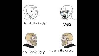 chad #automobile #reallifetruth #cat #truthworld #funny #realtruth #memes #realworldfacts #kitten #s