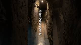 Okinawa's Wartime Bunker: Preserving Memories from 80 Years Past