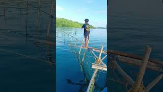 Simple na pamumuhay ang munting Bungsod#minivlog #travel #travelvlog #nature #vacation #philippines