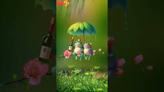 Love Fleeing ♥️Sathi Tera payar puja hai?#lovestatus #lovestory #love_status #music #lovetest