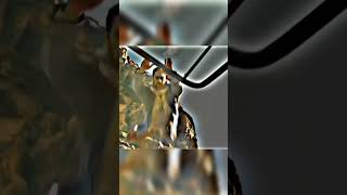 #New #southhindimovies #maheshbabu #prabash #superhitmovies #scence #youtubeshorts #ytshorts #yt