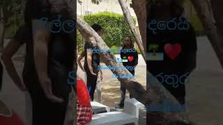 #rallaweralataadarei #fypシ #srilanka #viral #drama#newvideo #bts #negombo #arjithsingh#hirutv