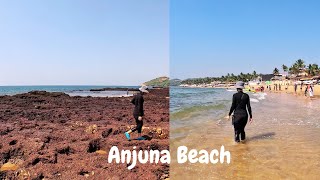 Boat Tour in Anjuna | North Goa