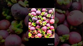 #mangosteen #fruitlovers #exotic #tropicalfruit #superfood #farmfresh #foodielife #fruitexploration