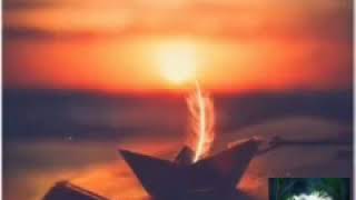 Malayalam status video for whatsapp