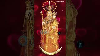 velankanni madha song #velankannimathasongs #velankannimadha #madhasongintamil #catholicsongsintamil