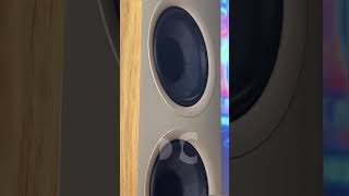 FOCAL CHORA 826 & 826D  | SPEAKERS | HOME THEATER | #dcinema #shorts