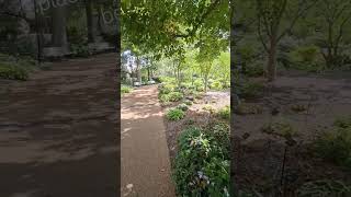 NYC Real Estate -we need more urban greenspace #newyorkrealestate #realestateagent #realestatebroker