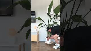 Secret to a Plant-Filled City Apartment 🌱 (Without the Clutter) #plantlover #citylife #homedecor