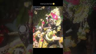 tumpe hum toh mare ja raha hain ❤️‍🩹✨ll #radhakripa #love #viralshort #1k #likeandsubscribe #viral