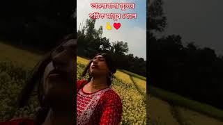 #music #song #coversong #love #newsong # #banglasong #banglafolk #folkstudiobangla #amaybhashailire
