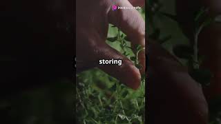 5 Mind-Blowing Food Hacks You Need to Try! #CookingTips #KitchenSecrets #MindBlowingTricks #Culinary