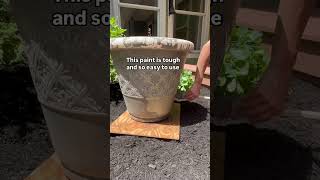 Grab the paint link right here - reviveitdecor.com