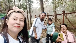 Bengal Safari #siliguritimes #kidsvideos