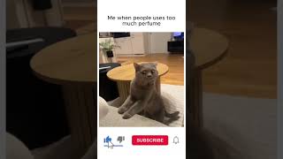 Funny PopShorts Compilation #21 #shorts #viralshorts
