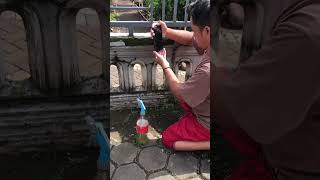 Cara edit sinematik simple #nature #shorts #cinematicvideography