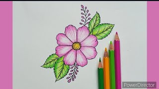 COSMOS Flower Drawing With Colour Pencils Step by Step Tutorial | Flower Drawing Tutorial