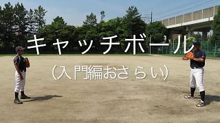 【キャッチボール】お父さんとお母さんのための野球基礎知識（初級編）