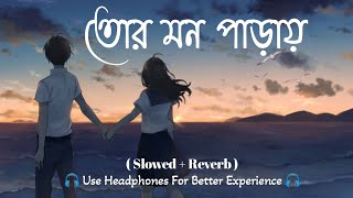 তোর মন পাড়ায় || Tor Mon Parai Bengali Song || Bengali love Lofi Song 😊