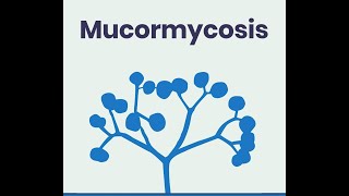 Mucormycosis