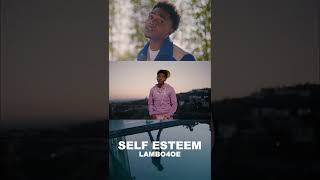 Self Esteem #shorts #selfesteem #newmusicvideo #lambo4oe