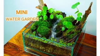 I built a Mini Water Garden With Flowing Stream | here's How
