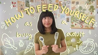 how to feed yourself as a busy adult 🍴🥬 meal planning, cooking tips, lazy recipes