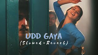 UDD GAYA - B Praak - (Slowed+Reverb) | Jaani | Gurnam Bhullar | Tania | Lekh | sLow 🎵