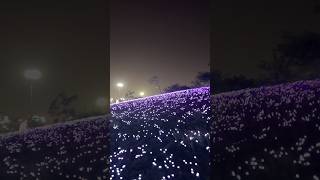 Lighters #flowers #creative #love #creator #shorts #shortvideo #shortsfeed #shortsviral #viralvideo