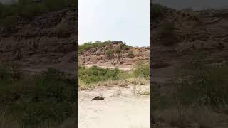 road driving video number 7 #youtubeshorts #youtube #automobile #villagerlifestyle #vlog