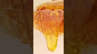 I made a commercial at home: Honey #diycommercial #commercialvideo #honey