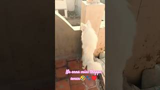 2nd um avar than kala vecharu miss😂🐈Leo😍😘🥰#lavanyasmedia #tamilyoutuber #trending