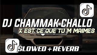 DJ CHAMMAK CHALLO X EST CE QUE TU M MAIMES (SLOWED + REVERB)