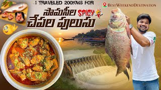 Somasila చేపల పులుసు తిననీకే 200kms పోయిన👌|Ft.5Monkeys Food #chepalapulusu #fish #food