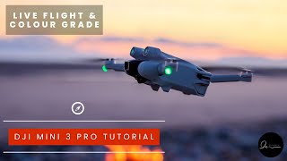 DJI Mini 3 Pro TUTORIAL Live Flight & Colour Grading D-CINELIKE On Final Cut Pro X