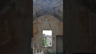 Bromor koiyo giya