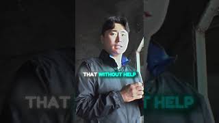 This Dog Family Was In Serious Danger! 🚨⚠️ #animalrescue #animalstory #animalcare