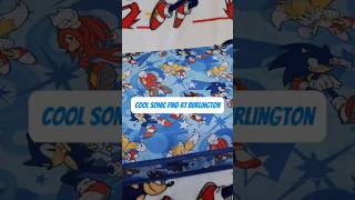 You Never Know What You're Gonna Find While Hunting For Sonic