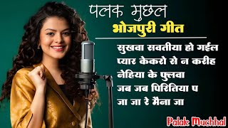 Palak Muchhal All Bhojpuri Viral Songs || Sukhwa Savatiya Ho Gail #palakmuchhal #bhojpurisong