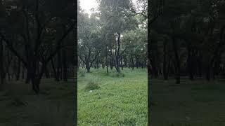 #newbanglasong2025  #banglasong   #banglasongnew #banglasonglyrics