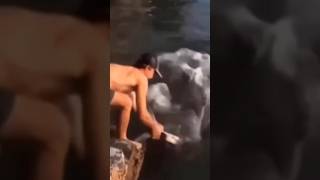 The Cutest Animal Mishaps Ever! 🐶😅