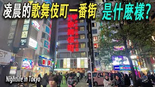 【打碼重發-看過請勿點擊】凌晨2點的東京新宿歌舞伎町一番街，是什麽樣？深夜巷子蹲著很多女孩，她们在等待谁？歌舞伎町一番街很多潶大漢在拉客。日本女孩深夜依然舉牌在打廣告拉客人。東京如此繁華是有原因的。